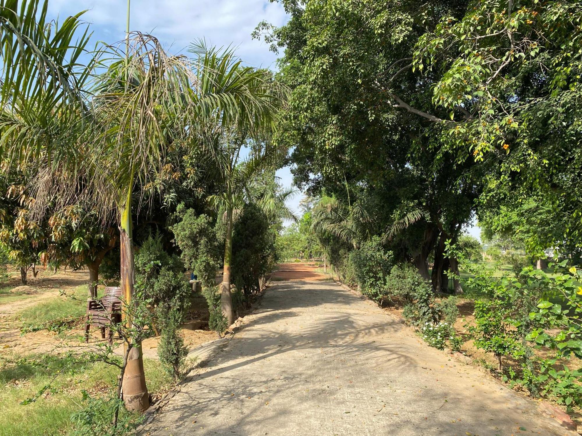 Orchard At Sarai Βίλα Γκουργκάον Εξωτερικό φωτογραφία